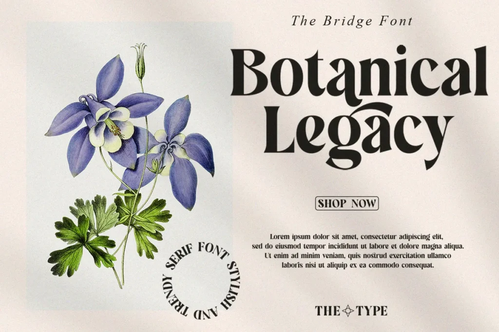1-Bridge-Stylish-Trendy-Serif-1024x683 Free Bridge Stylish Trendy Serif