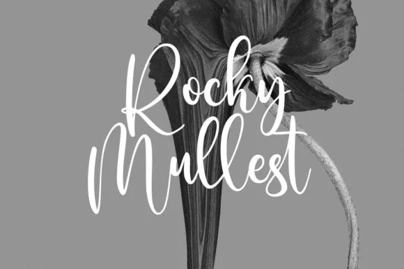 1-Sallutos-Signature-Font Free Sallutos Signature Font