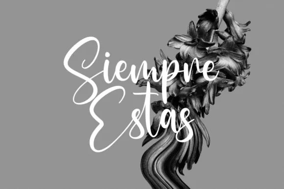 2-Sallutos-Signature-Font Free Sallutos Signature Font