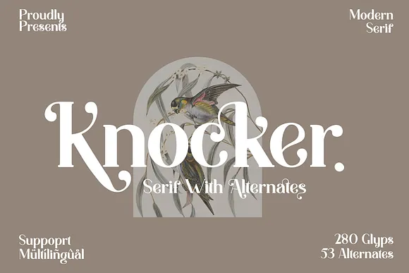 Knocker Modern Serif