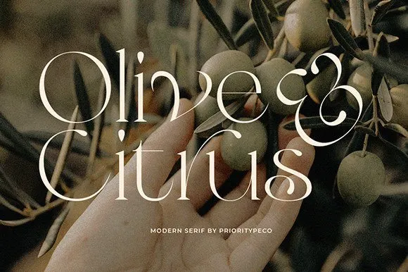 Olive & Citrus Font